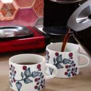 ひろみ 収穫祭 東京人妻セレブリティ（ユメオト）