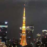 ひろみ いけない夜遊び 東京人妻セレブリティ（ユメオト）