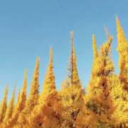 ひろみ お知らせ 東京人妻セレブリティ（ユメオト）