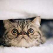 ヒメ日記 2024/12/18 09:45 投稿 れい コスプレ痴漢電車