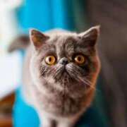 ヒメ日記 2024/12/29 09:05 投稿 れい コスプレ痴漢電車