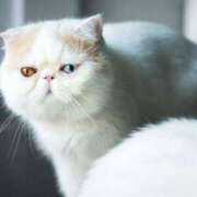 ヒメ日記 2024/12/30 09:27 投稿 れい コスプレ痴漢電車