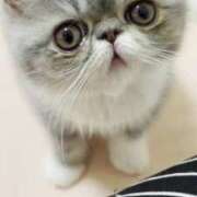 ヒメ日記 2025/03/12 09:34 投稿 れい コスプレ痴漢電車