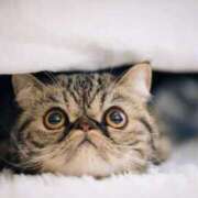 ヒメ日記 2025/03/18 09:06 投稿 れい コスプレ痴漢電車