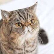 ヒメ日記 2025/05/15 12:10 投稿 れい コスプレ痴漢電車