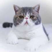 ヒメ日記 2025/05/16 10:55 投稿 れい コスプレ痴漢電車