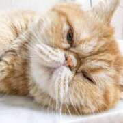 ヒメ日記 2025/07/31 11:13 投稿 れい コスプレ痴漢電車