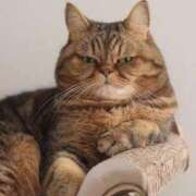 ヒメ日記 2025/09/05 09:23 投稿 れい コスプレ痴漢電車