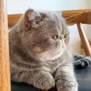 ヒメ日記 2025/09/11 11:51 投稿 れい コスプレ痴漢電車