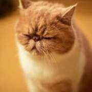 ヒメ日記 2025/09/12 10:58 投稿 れい コスプレ痴漢電車