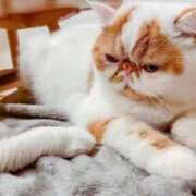 ヒメ日記 2025/09/17 10:20 投稿 れい コスプレ痴漢電車