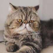 ヒメ日記 2025/10/14 15:35 投稿 れい コスプレ痴漢電車