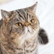 ヒメ日記 2025/10/17 10:24 投稿 れい コスプレ痴漢電車