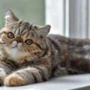 ヒメ日記 2026/01/23 09:41 投稿 れい コスプレ痴漢電車