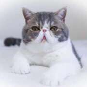 ヒメ日記 2026/01/30 09:21 投稿 れい コスプレ痴漢電車