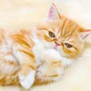 ヒメ日記 2026/02/03 10:40 投稿 れい コスプレ痴漢電車