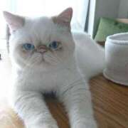 ヒメ日記 2026/03/10 09:15 投稿 れい コスプレ痴漢電車