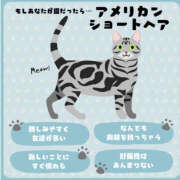 ヒメ日記 2025/03/30 00:50 投稿 SA☆NA クリカリ東京店