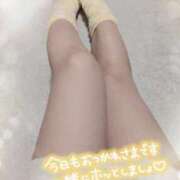 ヒメ日記 2024/12/23 21:39 投稿 菊川 新宿人妻城