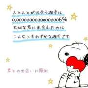 ヒメ日記 2025/01/08 23:46 投稿 菊川 新宿人妻城