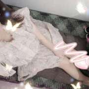 ヒメ日記 2025/04/14 15:26 投稿 菊川 新宿人妻城