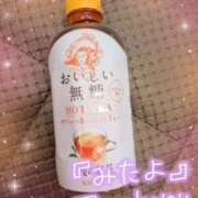 菊川 明日🎀 新宿人妻城