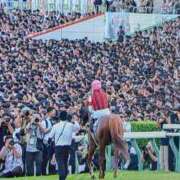 ヒメ日記 2025/09/29 09:32 投稿 みやび 奥鉄オクテツ兵庫