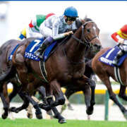 ヒメ日記 2025/11/01 16:43 投稿 みやび 奥鉄オクテツ兵庫