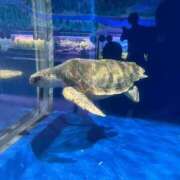 ヒメ日記 2025/05/29 07:07 投稿 ゆか 出会い系人妻ネットワーク 春日部〜岩槻編