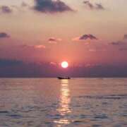 ヒメ日記 2025/07/05 18:46 投稿 ゆか 出会い系人妻ネットワーク 春日部〜岩槻編