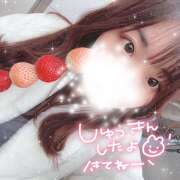 ヒメ日記 2024/12/21 11:19 投稿 みやび ラッシュアワー