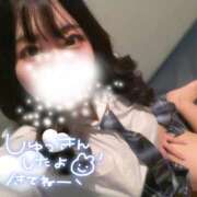 ヒメ日記 2025/01/08 12:50 投稿 みやび ラッシュアワー