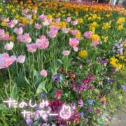 ヒメ日記 2025/04/24 11:10 投稿 みやび ラッシュアワー