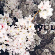 ヒメ日記 2026/04/01 19:21 投稿 みやび ラッシュアワー