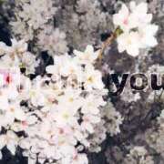 ヒメ日記 2026/04/02 19:32 投稿 みやび ラッシュアワー