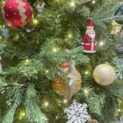 ヒメ日記 2024/12/24 23:31 投稿 せいら 素人妻達☆マイふぇらレディー