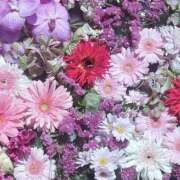 ヒメ日記 2025/07/22 12:05 投稿 せいら 素人妻達☆マイふぇらレディー