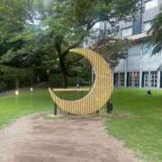 ヒメ日記 2025/07/29 10:31 投稿 せいら 素人妻達☆マイふぇらレディー