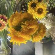 ヒメ日記 2025/08/07 10:30 投稿 せいら 素人妻達☆マイふぇらレディー