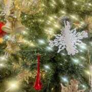 ヒメ日記 2025/12/25 23:01 投稿 せいら 素人妻達☆マイふぇらレディー