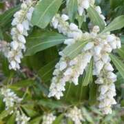 ヒメ日記 2026/04/28 19:18 投稿 せいら 素人妻達☆マイふぇらレディー