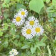 ヒメ日記 2026/05/08 12:18 投稿 せいら 素人妻達☆マイふぇらレディー