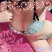 ヒメ日記 2025/04/20 07:01 投稿 ふゆね 激安ドットコム