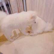 じゅりな 💃 ヌクトコ