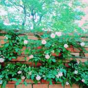 ヒメ日記 2026/03/20 13:39 投稿 じゅりな ヌクトコ