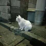 じゅりな 😉❤️ ヌクトコ