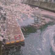 ヒメ日記 2026/04/07 15:54 投稿 じゅりな ヌクトコ