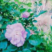 ヒメ日記 2026/06/07 14:38 投稿 じゅりな ヌクトコ