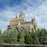 ヒメ日記 2025/03/05 10:03 投稿 まゆ 即プレイ専門店 性の極み