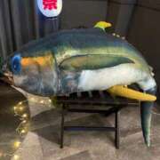 ヒメ日記 2025/05/05 20:28 投稿 まゆ 即プレイ専門店 性の極み